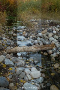 with and without circular polarizer